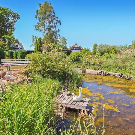 Bellin * 约科蒙德